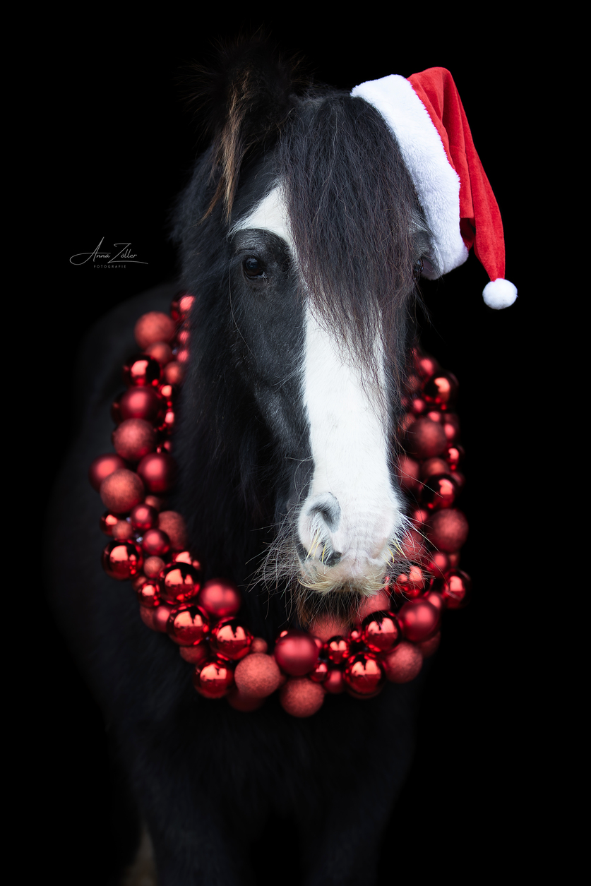 tinker mit weihnachtskranz